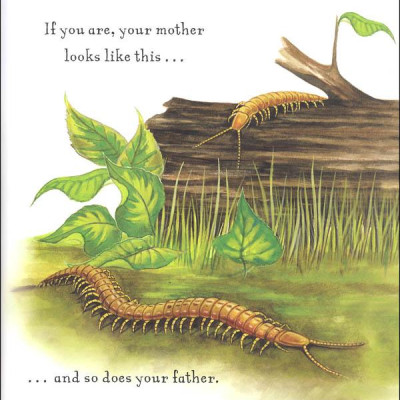 Are You A Centipede? (Backyard Books)