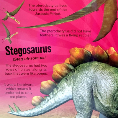 A Mega Sound Book: Roar! 10-Button Sound Book