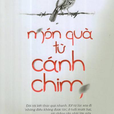 Món Quà Từ Cánh Chim