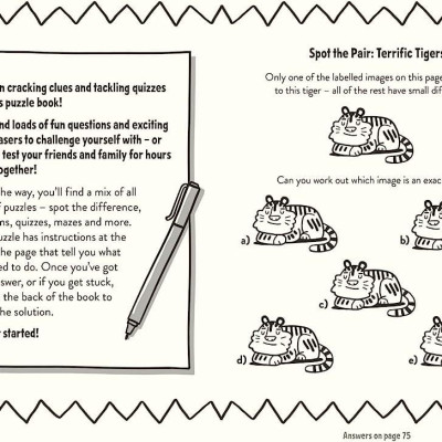 Sách thiếu nhi  tiếng Anh: AMAZING PUZZLES AND QUIZZES FOR EVERY 9 YEAR OLD