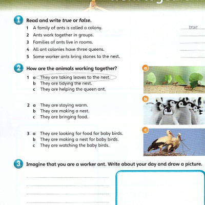 Guess What! Level 5 Activity Book with Online Resources British English