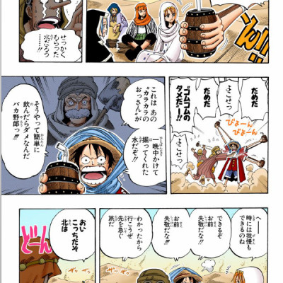 One Piece 19