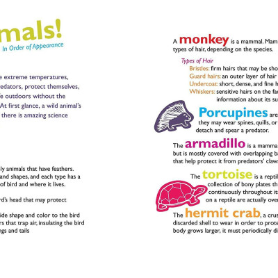 Feathers And Hair, What Animals Wear