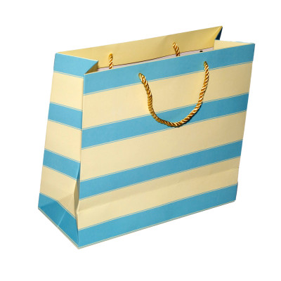 TÚI DÂY NGANG LỚN TN010 - 27 X 30 X 12 CM - NGẪU NHIÊN