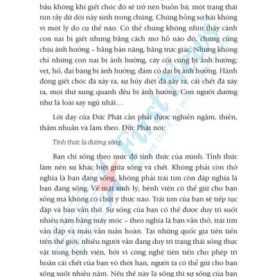 Osho - Tỉnh Thức - Bí Quyết Cân Bằng Cuộc Sống - Bìa mềm - First News
