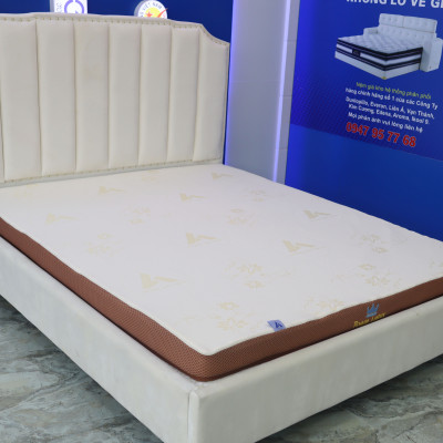 Nệm cao su Aroma Foam Latex