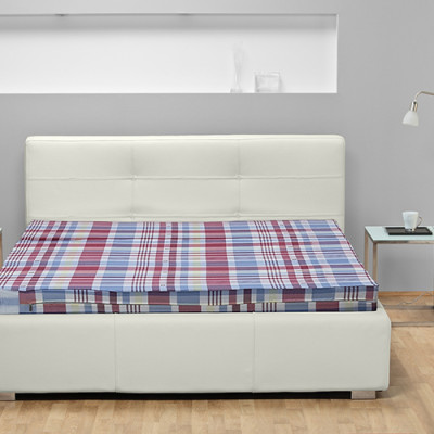 Đệm Chống Khuẩn Hanvico (120 x 190 x 5 cm)