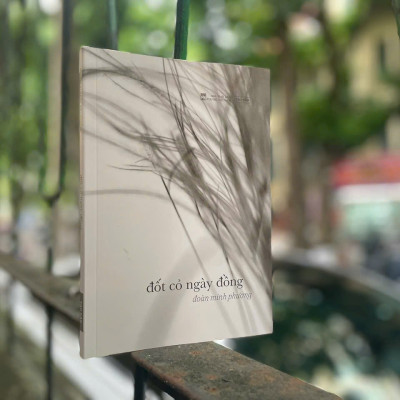 Đốt Cỏ Ngày Đồng