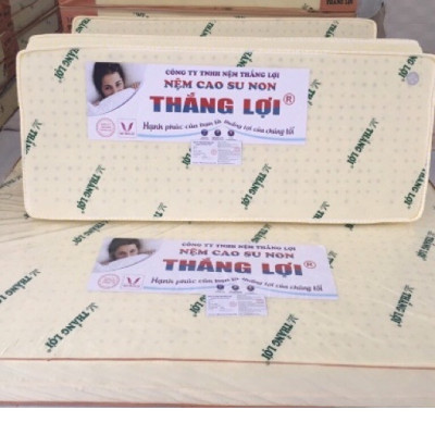 Nệm cao su non Thắng lợi gấp 3 đủ size dày 10cm