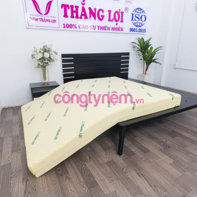 Nệm cao su non TL có massage 