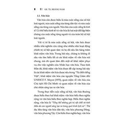 Sách - Nhân Học Văn Hóa Việt Nam - GS. TS Hoàng Nam - VIETNAMBOOK