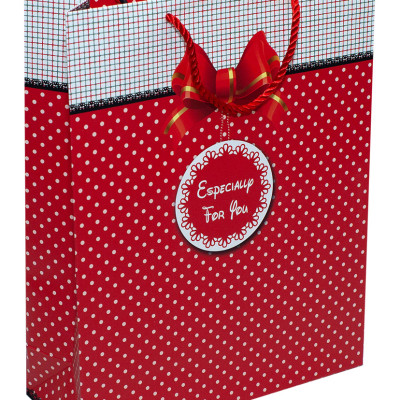 TÚI DÂY LỚN TT110 - 32 X26 X10 CM - NGẪU NHIÊN