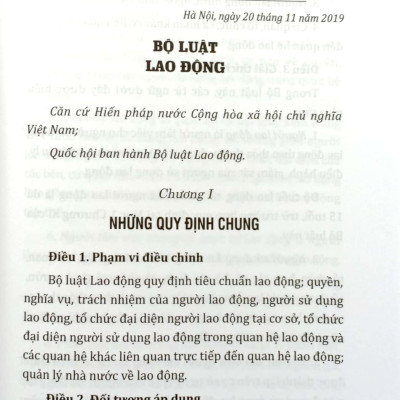 Bộ Luật Lao Động Của Nước Cộng Hòa Xã Hội Chủ Nghĩa Việt Nam (Áp Dụng Từ Ngày 01-01-2021)