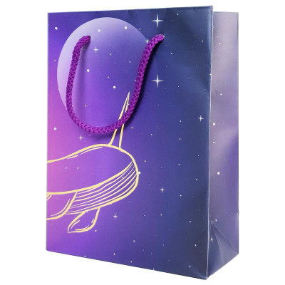 Túi Đựng Quà 16 x 22 x 8 cm - The Whale - The Sun 02