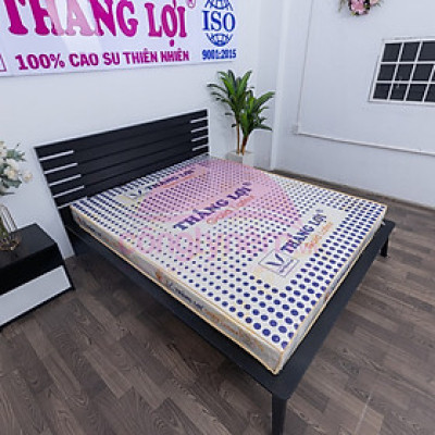 Nệm cao su TL Gold Latex phẳng 