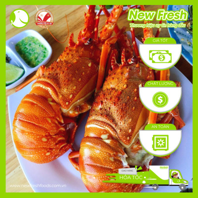 [GIAO NHANH HCM] Tôm Hùm Bông Đông Lạnh - 1 Con 1Kg