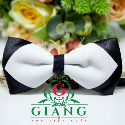 Nơ chú rể cao cấp Giangpkc chất liệu nhung SP1813