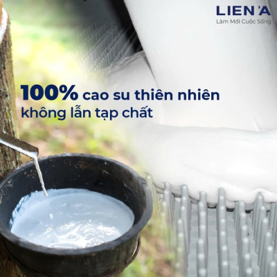 Nệm Cao Su Liên Á Classic