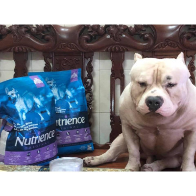 Nutrience Original Thức Ăn Cho Chó Có Kích Thước Trung Bình, Lớn - Thịt Cừu, Rau Củ & Trái Cây Tự Nhiên