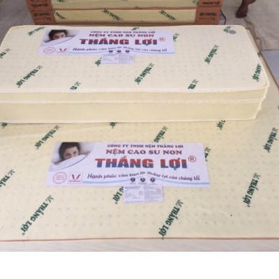 Nệm cao su non Thắng lợi gấp 3 đủ size dày 10cm