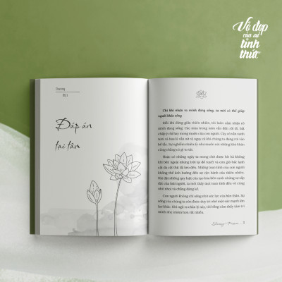 Sách - Vẻ Đẹp Của Sự Tỉnh Thức