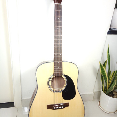 Đàn Guitar Acoustic Natural DD120