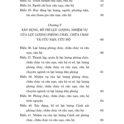 Luật phòng cháy, chữa cháy và cứu nạn, cứu hộ năm 2024 - bản in 2025