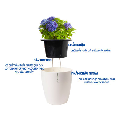 Chậu trồng cây tự tưới MONROVIA H0, chất liệu PP cao cấp, trồng hoa, cây cảnh, trang trí nhà cửa