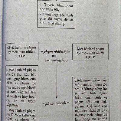Mô Hình Luật Hình Sự Việt Nam