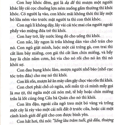 Việt Nam Phong Tục