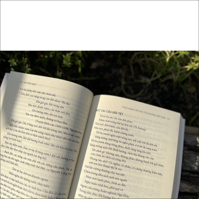 Thực hành văn hóa tín ngưỡng Việt Nam