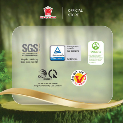 Nệm Cao Su Thiên Nhiên Vạn Thành SEGOVIA