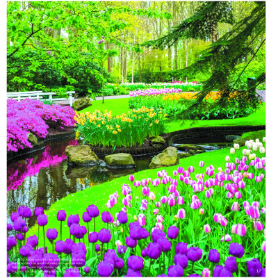 Các Địa Danh Đẹp Nhất Thế Giới (Bìa cứng - In màu)