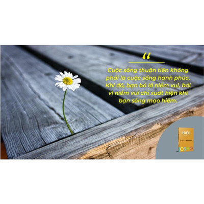 Sách  OSHO Hiểu  Đường Đến Tự Do - First News - BẢN QUYỀN