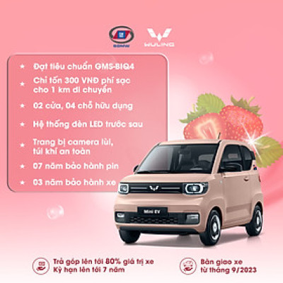 Phiếu đặt cọc [LV2-170km] Ô tô điện Wuling Mini EV