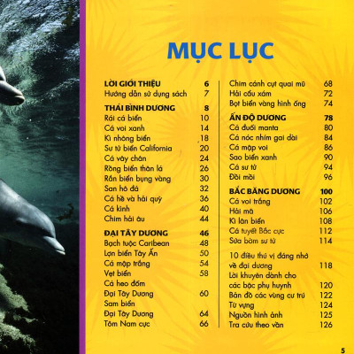 Cuốn Sách Lớn Đầu Tiên Của Tớ - Đại Dương - Bìa Cứng (Tái Bản 2024)