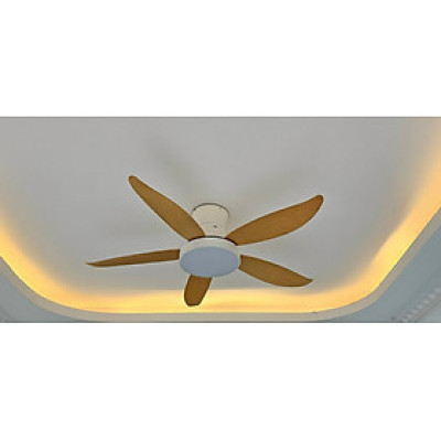 Quạt cho trần thấp, có đèn trang trí, rất mát, có đk từ xa, động cơ DC tiết kiệm điện giúp quạt êm hơn và mát hơn