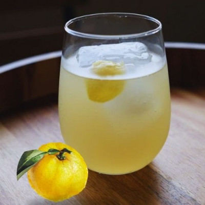 Rượu Gin Thủ Công Nhật Bản agata Kochi Ken Gin chai 500ml