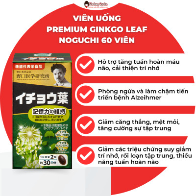 Viên Uống Bổ Não Premium Ginkgo Leaf Noguchi 60 Viên