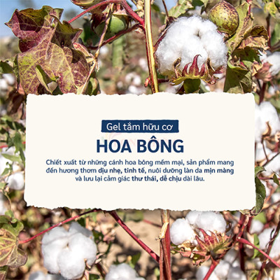 Sữa tắm 98% hữu cơ Le Petit Marseillais (400ml) - Hàng chính hãng