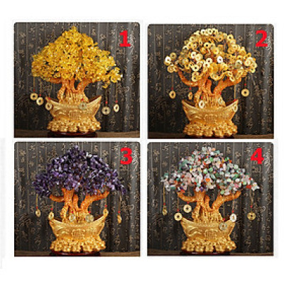Cây kim tiền, cây tài lộc, cây phong thủy