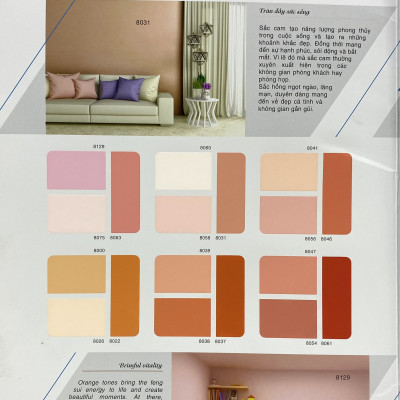 Sơn phào chỉ cho trần nhà Toa thoải mái lau chùi màu C- 7910 _1L