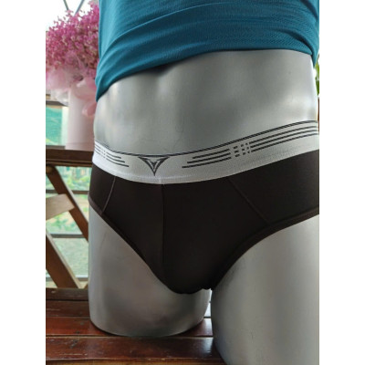 Quần Lót Nam Tam Giác DVBF031 , Chất Liệu Thun Lạnh 4 Chiều, Lưng Bản 3.0cm Sợi Bóng Cao Cấp