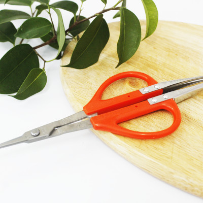 Kéo cắt nho cao cấp Nhật Bản Chikamasa B-300SU