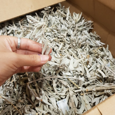 Xô thơm trắng white sage nguyên cành lá thanh tẩy nhà cuawr