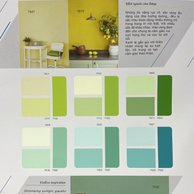 Sơn phào chỉ cho trần nhà Toa 4 Seasons Top Silk  màu D- 8037 _1L