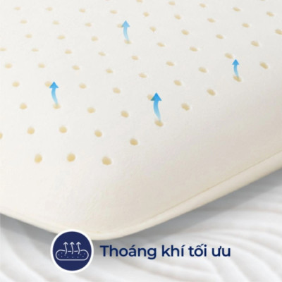 Gối Cao Su Liên Á Oval LAGOV4565 (45 x 65 cm) - Trắng