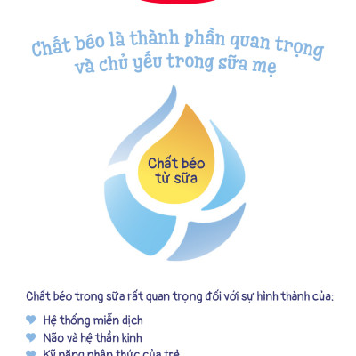 Sữa bột công thức Semper Bifidus số 2 400g