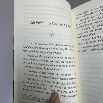 CUỘC SỐNG NHÌN TỪ Ô CỬA THIỀN - Tập 2 - tác giả Vô Thường - Bìa mềm