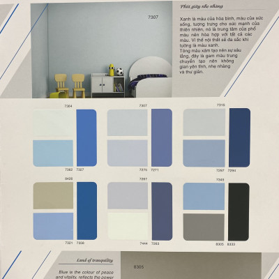 Sơn phào chỉ cho trần nhà Toa thoải mái lau chùi màu C- 7742 _1L